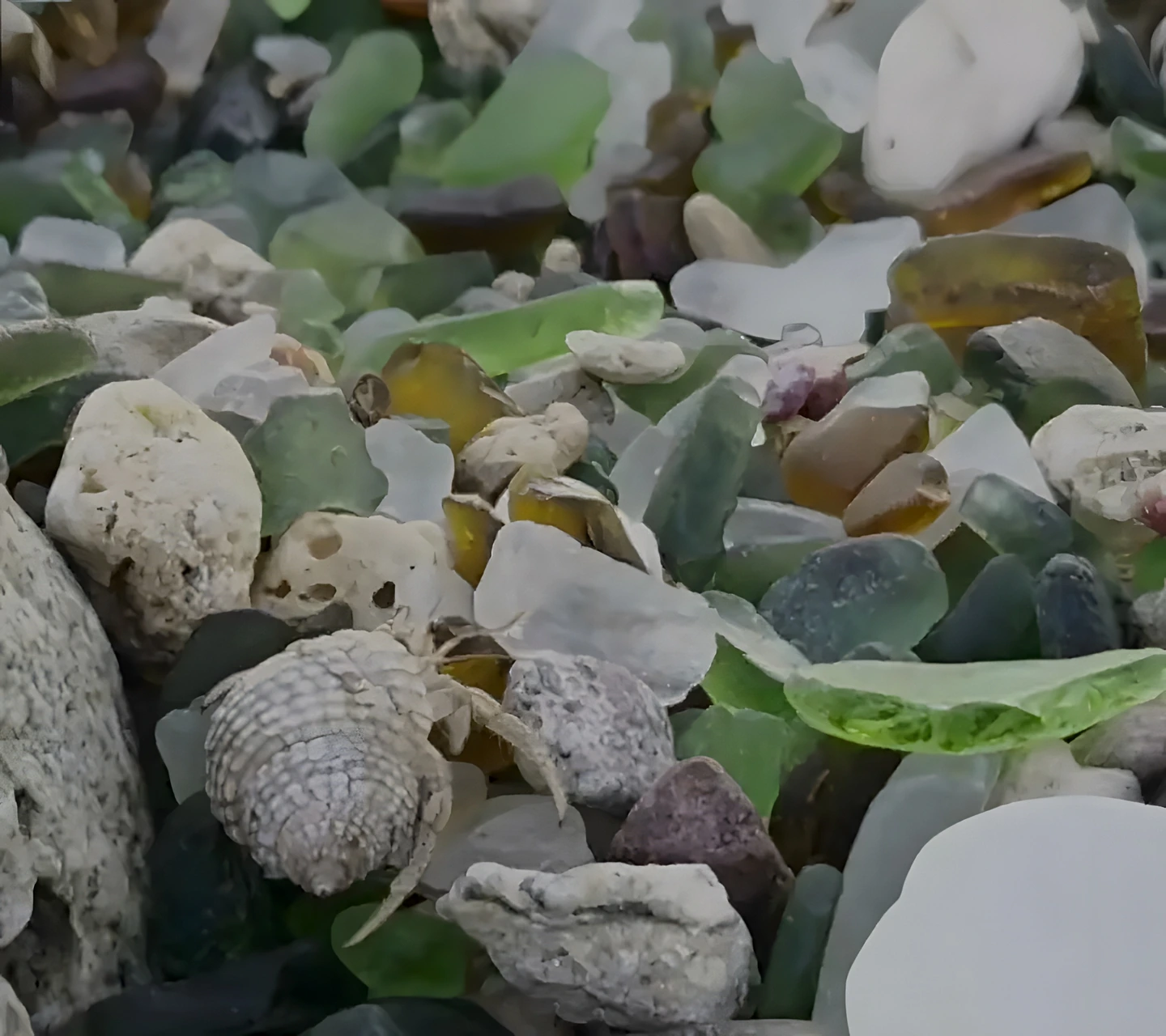 A macro of the island shore: sea glass in green, amber and milky white packed between coral pebbles and shells