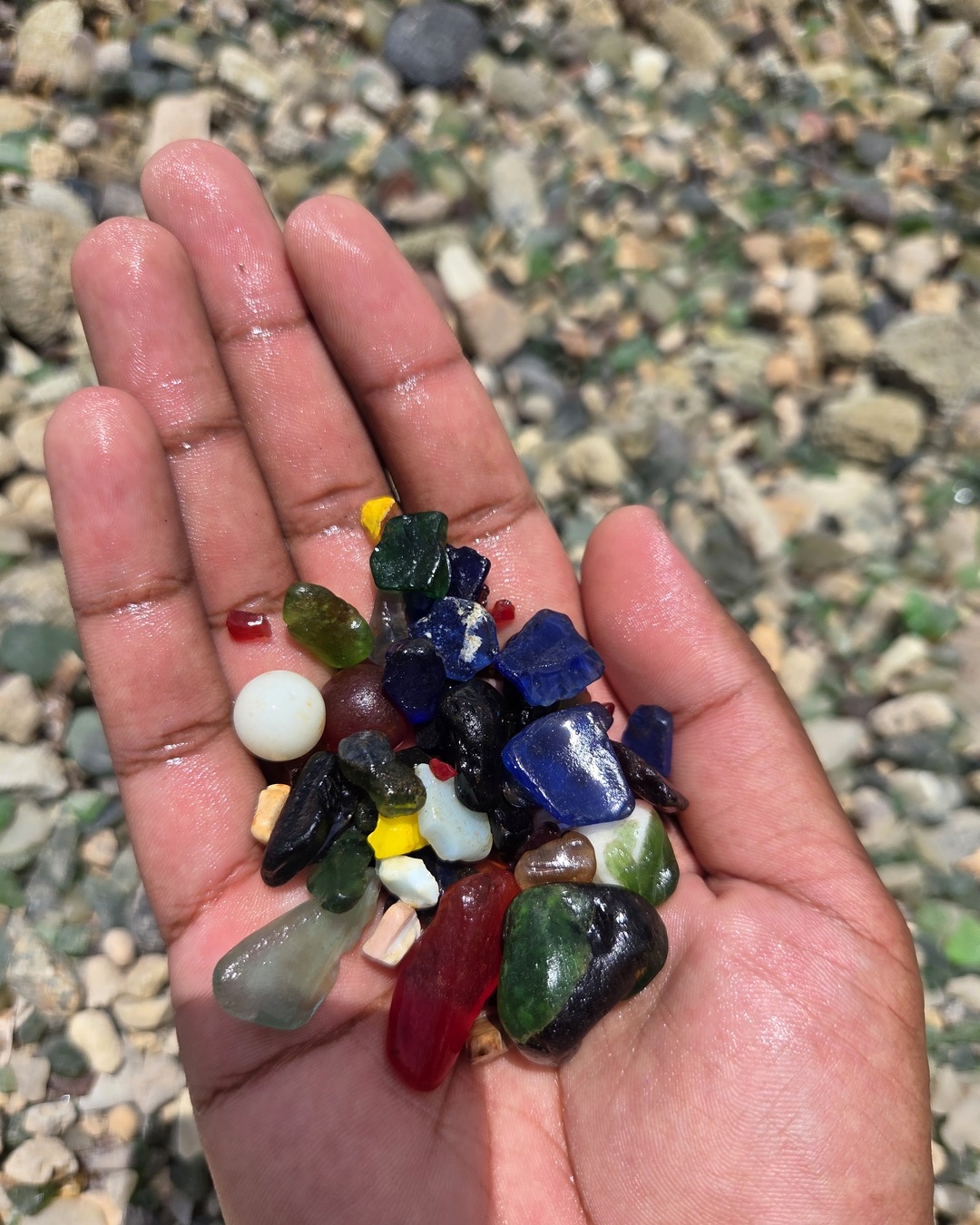 An open palm holding a wet handful of sea glass in cobalt, green, amber, red and milky white